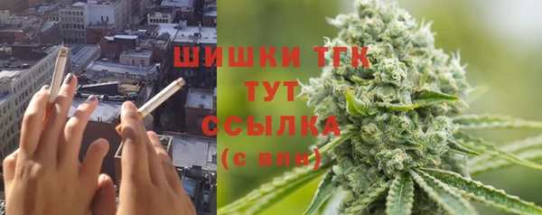 2c-b Верхний Тагил