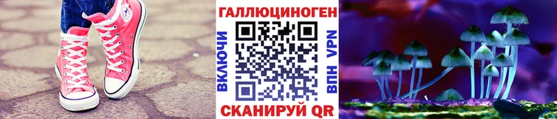 Галлюциногенные грибы Magic Shrooms  blacksprut сайт  Нея  купить наркотики цена 
